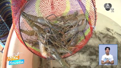 กุ้งก้ามกราม ลดกระหน่ำต่ำสุด ยังขายไม่ออก