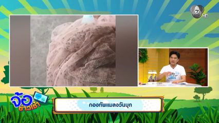 กองทัพแมลงวันบุก