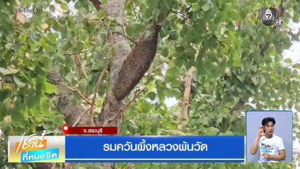 รมควันผึ้งหลวงพ้นวัด จ.สระบุรี