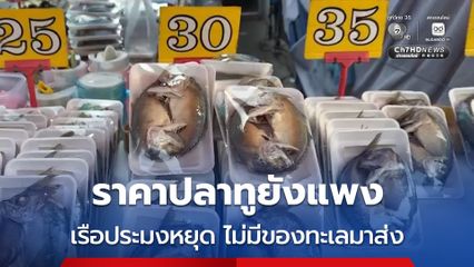 ตลาดสดเมืองศรีสะเกษ แม่ค้าปลาทู เผย ตอนนี้ ราคาปลาทูยังแพงอยู่ เพราะอาหารทะเล และไม่มีมาส่งในระยะนี้
