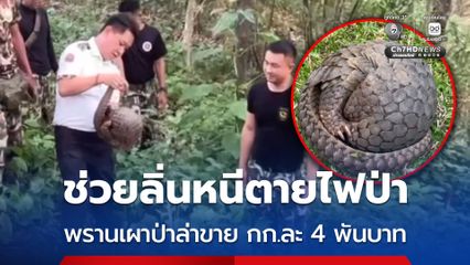 ช่วยลิ่นหนีตายไฟป่า พรานเผาป่าล่าขาย กก.ละ 4 พันบาท