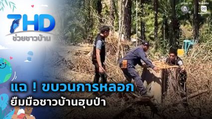 เรื่องใหญ่ต้องขยาย : แฉ ! ขบวนการหลอกยืมมือชาวบ้านฮุบป่า
