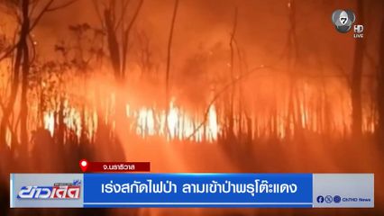 เร่งสกัดไฟป่า ลามเข้าป่าพรุโต๊ะแดง จ.นราธิวาส