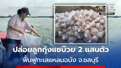 กรมทะเลฯ ปล่อย “ลูกกุ้งแชบ๊วย” จำนวน 200,000 ตัว ฟื้นฟูทะเลแหลมฉบัง