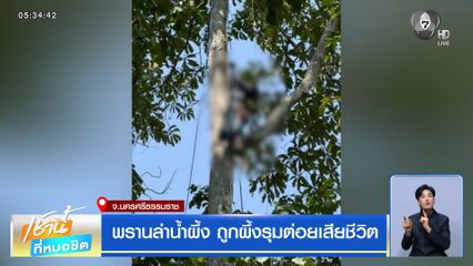 พรานล่าน้ำผึ้ง ถูกผึ้งรุมต่อยเสียชีวิต