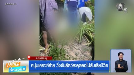 หนุ่มเคราะห์ร้าย วิ่งจับสัตว์สะดุดตอไม้ล้มเสียชีวิต