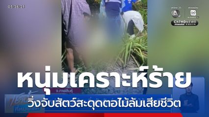 หนุ่มเคราะห์ร้าย วิ่งจับสัตว์สะดุดตอไม้ล้มเสียชีวิต