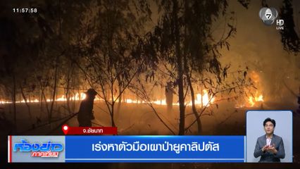เร่งหาตัวมือเผาป่ายูคาลิปตัส