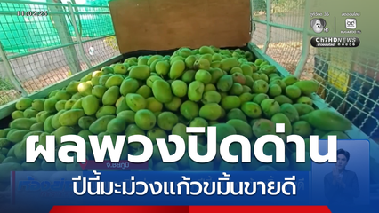 ผลพวงปิดด่านชายแดน ปีนี้มะม่วงแก้วขมิ้นขายดี