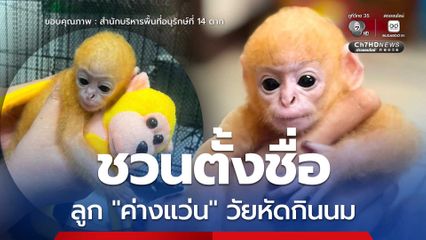 ชวนตั้งชื่อ ลูก “ค่างแว่น” วัยหัดกินนม