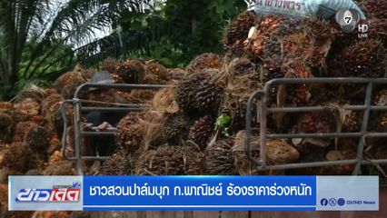 ชาวสวนปาล์มบุก ก.พาณิชย์ ร้องราคาร่วงหนัก