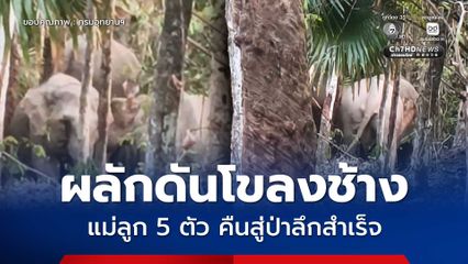 อุทยานแห่งชาติสันกาลาคีรี สนธิกำลังร่วมชุมชน ผลักดันโขลงช้างแม่ลูก 5 ตัว คืนสู่ป่าลึกสำเร็จ