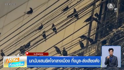 นกนับแสนยึดใจกลางเมือง ทิ้งมูล-ส่งเสียงดัง จ.อ่างทอง