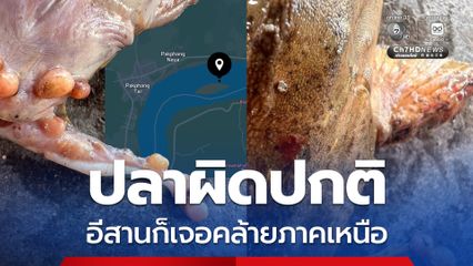 ปลาผิดปกติ ภาคประชาชนยื่น จม.เปิดผนึกขอให้ตรวจคุณภาพน้ำ