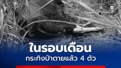 ในรอบเดือน กระทิงป่าตายแล้ว 4 ตัว