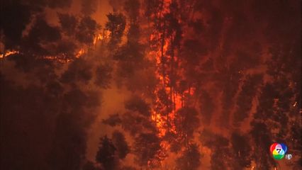 ญี่ปุ่นสั่งประชาชนเร่งอพยพ หนีไฟป่ารุนแรง