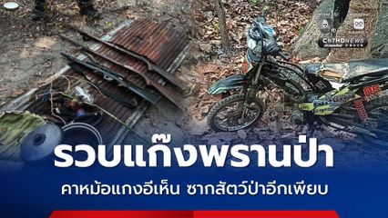 รวบแก๊งพรานป่าคาหม้อแกงอีเห็น ซากสัตว์ป่าอีกเพียบ