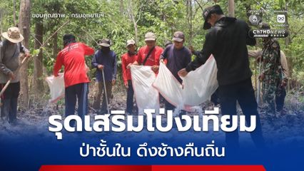ขสป.บุณฑริก-ยอดมน รุดเสริม โป่งเทียม ป่าชั้นใน ดึงช้างคืนถิ่น สร้างสมดุลคนกับป่า