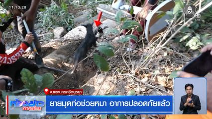 ยายมุดท่อช่วยหมา อาการปลอดภัยแล้ว