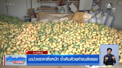 มะม่วงราคาดิ่งหนัก ซ้ำเติมด้วยค่าขนส่งแพง