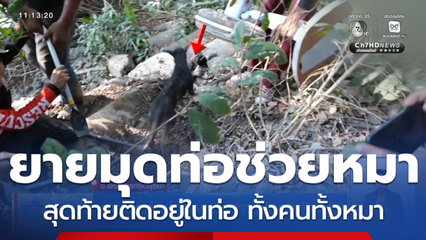 ยายมุดท่อช่วยหมา อาการปลอดภัยแล้ว