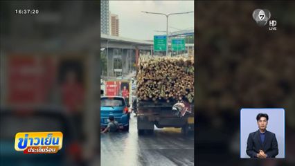 รถบรรทุกไม้เบรกแตก พุ่งชนยับถนนราชพฤกษ์ ตาย 1 เจ็บ 7