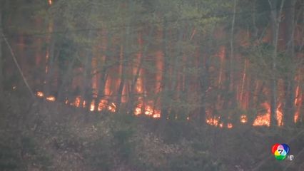 เหตุไฟป่าในญี่ปุ่น เผาผลาญแล้วเกือบ 7,000 ไร่