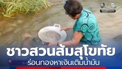 ชาวสวนส้มที่สุโขทัย พลิกวิกฤตหน้าแล้ง ร่อนทองหาเงินเติมน้ำมัน