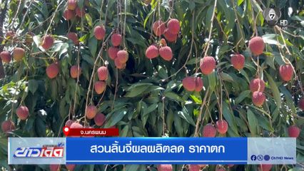 สวนลิ้นจี่ผลผลิตลด ราคาตก