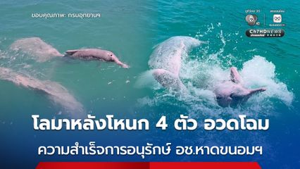 ความสำเร็จการอนุรักษ์ ! อช.หาดขนอม-หมู่เกาะทะเลใต้ พบ “โลมาหลังโหนก” 4 ตัว ว่ายน้ำอวดโฉม