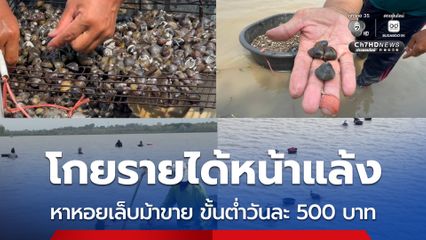 พลิกวิกฤตเป็นโอกาส โกยรายได้หน้าแล้ง หาหอยเล็บม้าขาย วันละ 500-1,000 บาท