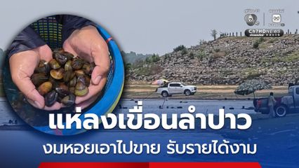 วันหยุดคนกาฬสินธุ์แห่ลงเขื่อนลำปาว งมหอยเอาไปขายรับรายได้งาม
