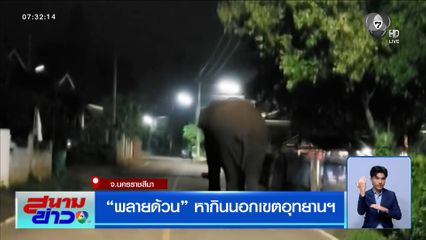 พลายด้วน หากินนอกเขตอุทยานฯ