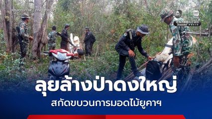สบอ.7 ผนึกกำลังลุยล้างป่าดงใหญ่ สกัดขบวนการมอดไม้ยูคาฯ ทิ้งของกลางหนีเตลิด เจ้าหน้าที่สั่งยกระดับลาดตระเวนเข้ม 24 ชม.