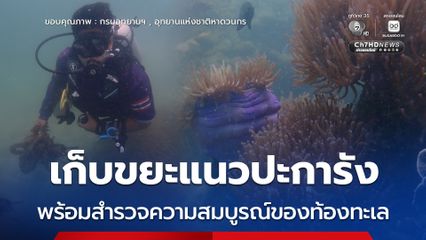 เก็บขยะแนวปะการัง พร้อมสำรวจความสมบูรณ์ของท้องทะเล