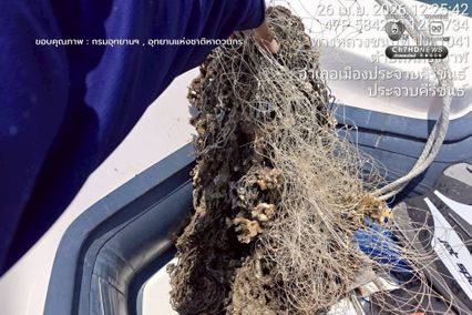 เก็บขยะแนวปะการัง พร้อมสำรวจความสมบูรณ์ของท้องทะเล