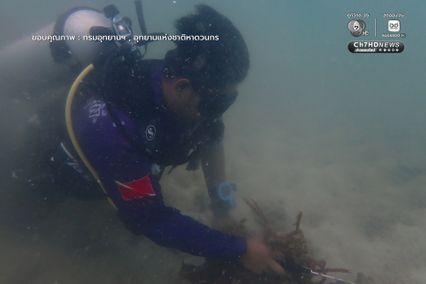 เก็บขยะแนวปะการัง พร้อมสำรวจความสมบูรณ์ของท้องทะเล