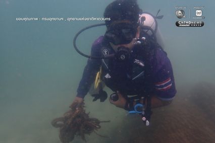 เก็บขยะแนวปะการัง พร้อมสำรวจความสมบูรณ์ของท้องทะเล