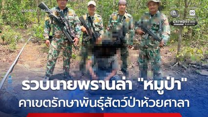 รวบพรานล่า “หมูป่า” คาเขตรักษาพันธุ์สัตว์ป่าห้วยศาลา พบของกลางหัวหมูป่า-เนื้อหมูป่าชำแหละพร้อมเครื่องใน