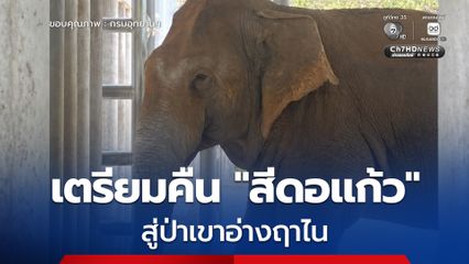 กรมอุทยานฯ เตรียมคืน “สีดอแก้ว” สู่ป่าเขาอ่างฤาไนในพื้นที่เหมาะสม​ในช่วงฤดูฝนนี้