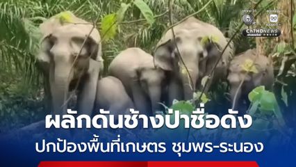 เร่งผลักดันช้างป่า "พลายไข่นุ้ย-พลายงายาว-พลายดื้อ" ที่ออกนอกพื้นที่ป่าอนุรักษ์