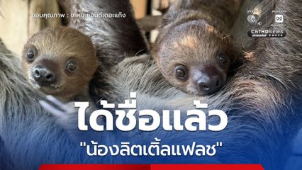 ได้ชื่อแล้ว น้องลิตเติ้ลแฟลช ลูกสล็อตสองนิ้ว สวนสัตว์เปิดเขาเขียว