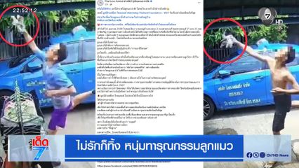 ไม่รักก็ทิ้ง หนุ่มทารุณกรรมลูกแมว