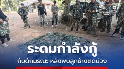 เขตรักษาพันธุ์สัตว์ป่าเขาอ่างฤาไน ระดมกำลังกู้ กับดักมรณะ หลังพบลูกช้างเคราะห์ร้ายติดบ่วง เผยวันเดียวรื้อทิ้งเกือบร้อยเส้น