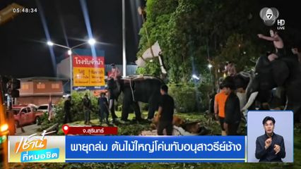 พายุถล่ม ต้นไม้ใหญ่โค่นทับอนุสาวรีย์ช้าง จ.สุรินทร์