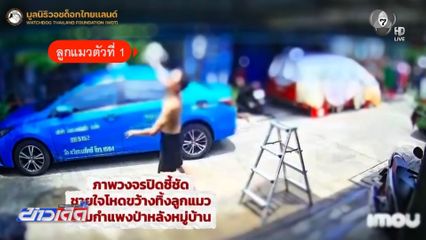 ส่งฟ้องศาลฯ ! หนุ่มโยนลูกแมวข้ามกำแพง