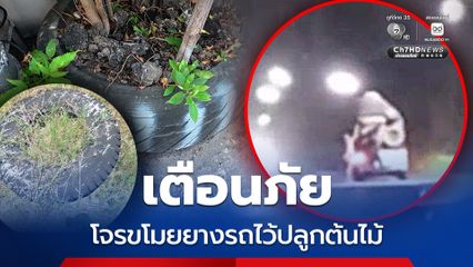 เตือนภัยโจรสมัยใหม่ ก่อเหตุขโมยยางรถยนต์เก่าเตรียมไว้ปลูกต้นไม้ไล่ขโมยทั่วซอย