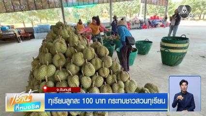 ทุเรียนลูกละ 100 บาท กระทบชาวสวนทุเรียน