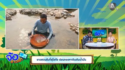 ชาวสวนส้มที่สุโขทัย ร่อนทองหาเงินเติมน้ำมัน