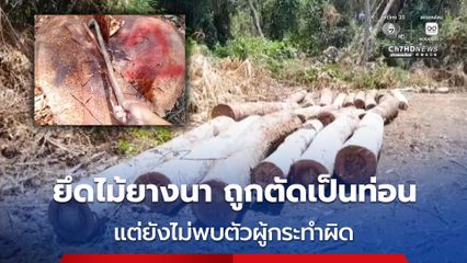 เจ้าหน้าที่บุกตรวจยึดไม้ยางนา ถูกตัดเป็นท่อน จำนวน 76 ท่อน กลางป่าภูเขียว จ.ชัยภูมิ